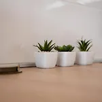 Dalmatia Znjan Apartamento *