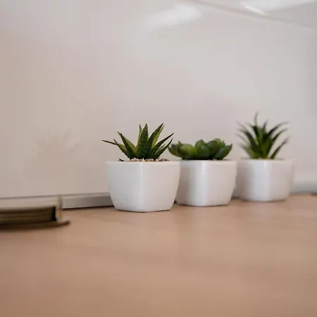 Dalmatia Znjan Appartamento *